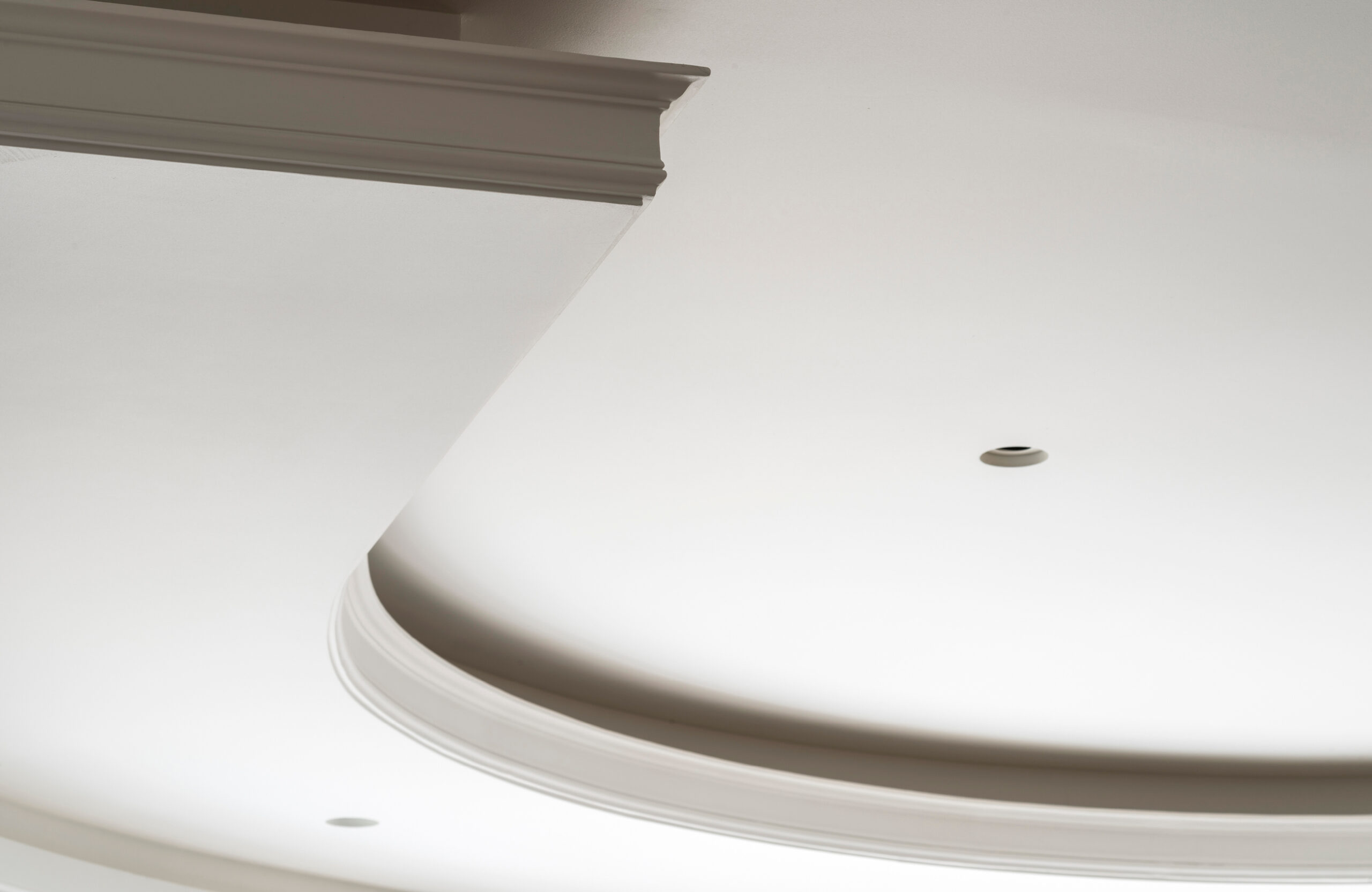 Dining and Reception Room - Curved Coved Ceiling With Cornice